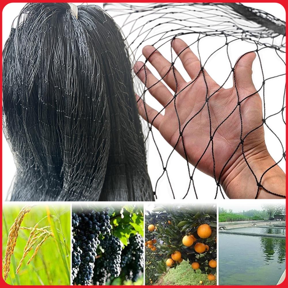 Plants X - Nylon Bird Netting Garden Bird Net