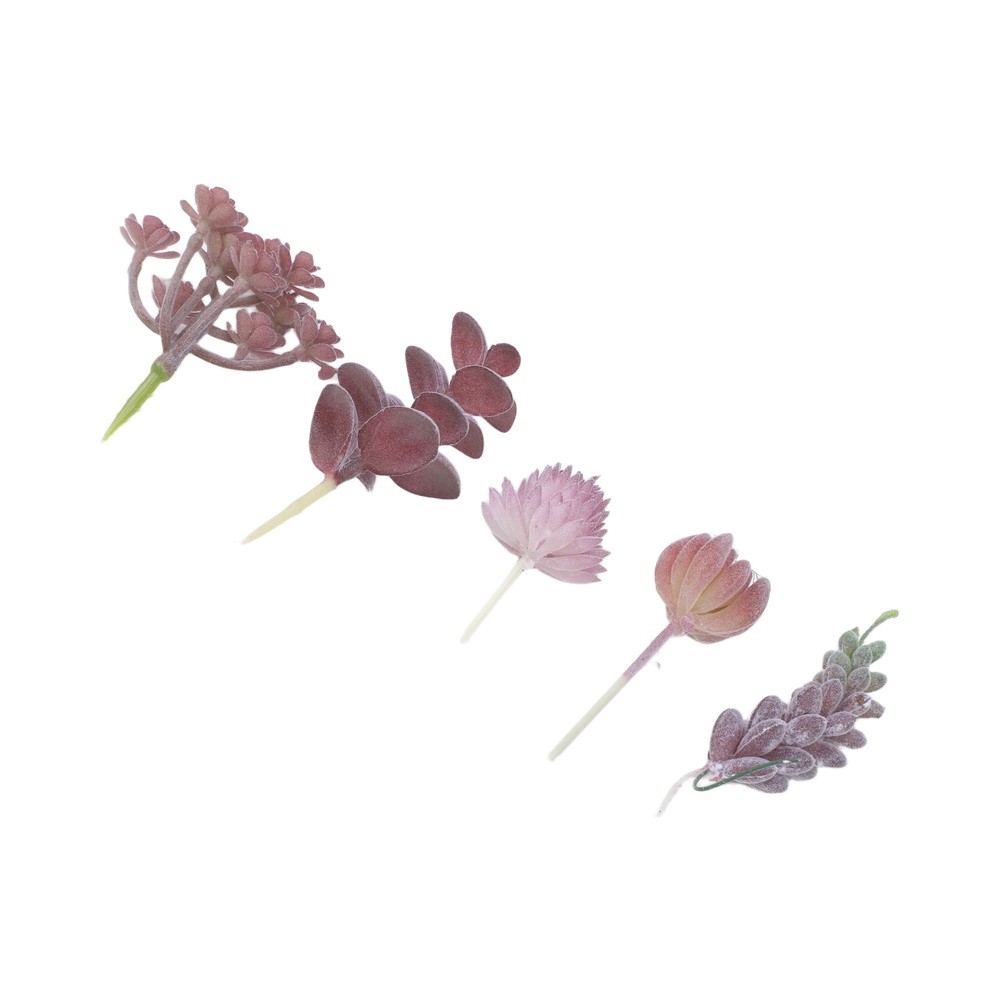 Artificial For Mini Bonsai Suc - Succulent Arrangement Mini 评论和价格