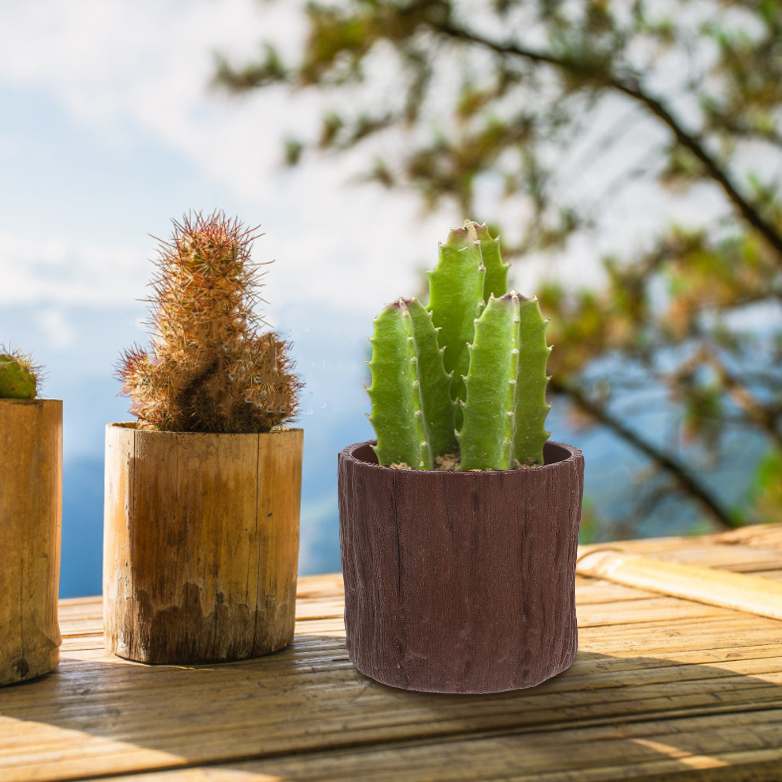 4Pcs Faux Wood Grain Flower Po - Succulent Arrangement Mini 评论和价格