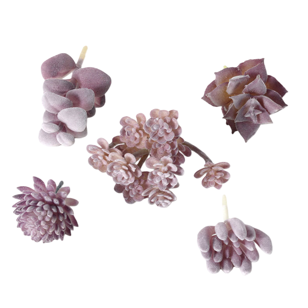 Plastic Based For Mini Bonsai  - Succulent Arrangement Mini 评论和价格