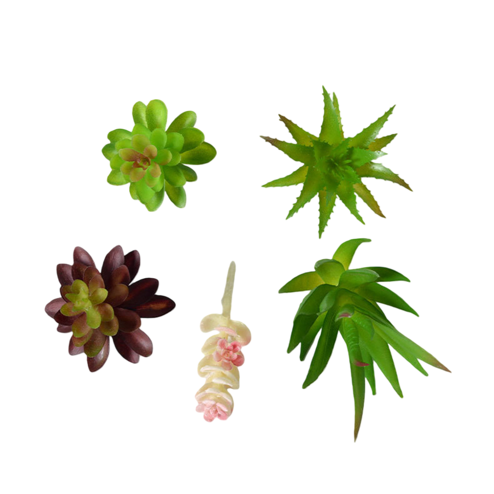 Plastic Based For Mini Bonsai  - Succulent Arrangement Mini 评论和价格