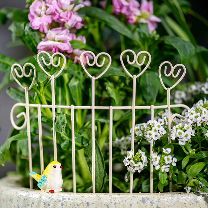 Whimsical Mini Iron FlowerPot  - Succulent Arrangement Mini 评论和价格