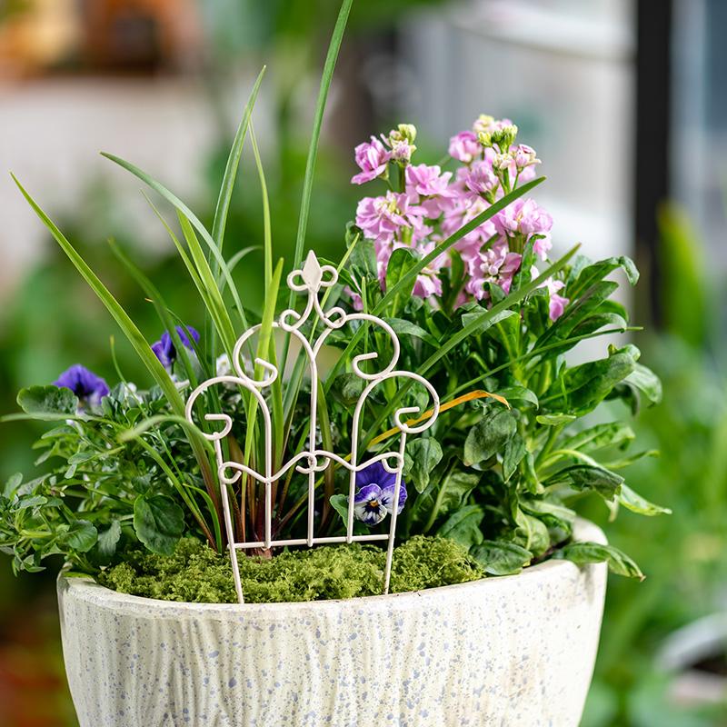 Whimsical Mini Iron FlowerPot  - Succulent Arrangement Mini 评论和价格