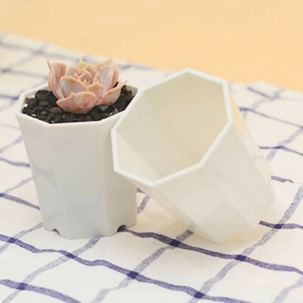 10pcs Plastic For Mini Flower  - Succulent Arrangement Mini 评论和价格