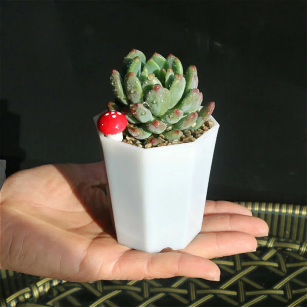 10pcs Plastic For Mini Flower  - Succulent Arrangement Mini 评论和价格