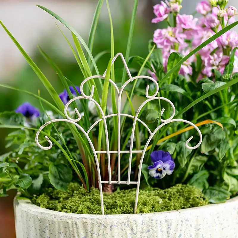 Whimsical Mini Iron FlowerPot  - Succulent Arrangement Mini 评论和价格