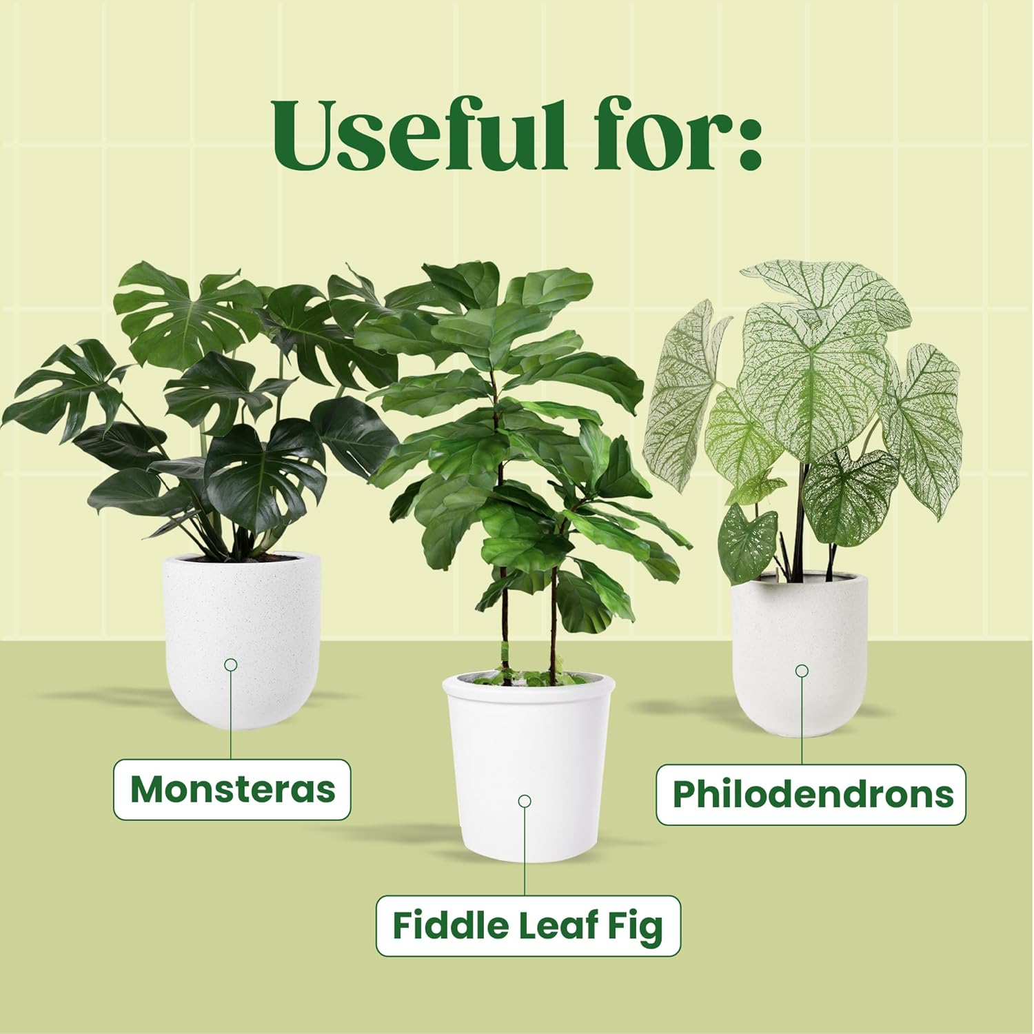 KALOYANOV Plant Serum N°1: Hig - Fiddle Leaf Fig 评论和价格