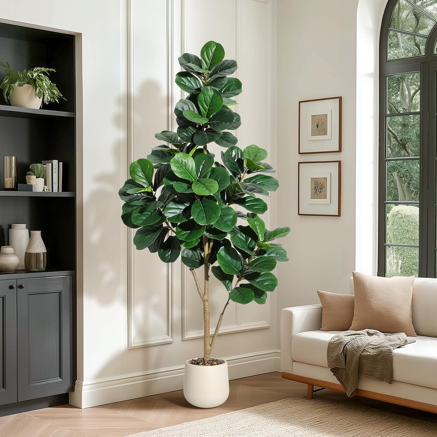 4-7 FT Fiddle Leaf Fig Tree Ar - Fiddle Leaf Fig 评论和价格