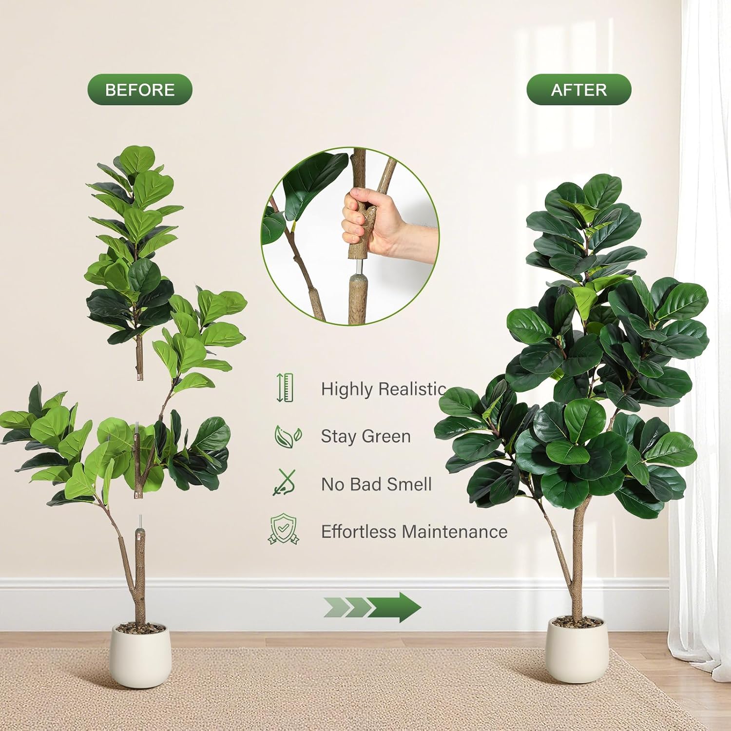 4-7 FT Fiddle Leaf Fig Tree Ar - Fiddle Leaf Fig 评论和价格