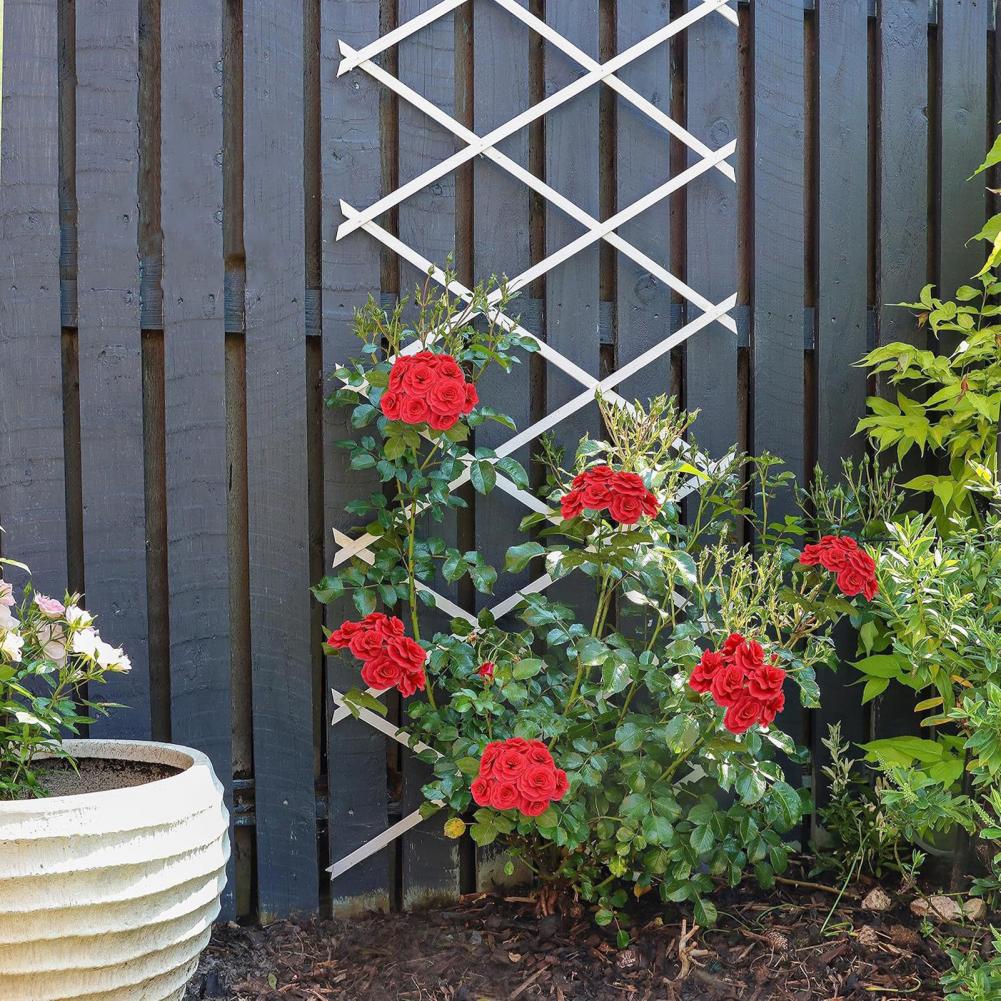 Expandable Garden Trellis 70 x - Plants X 评论和价格