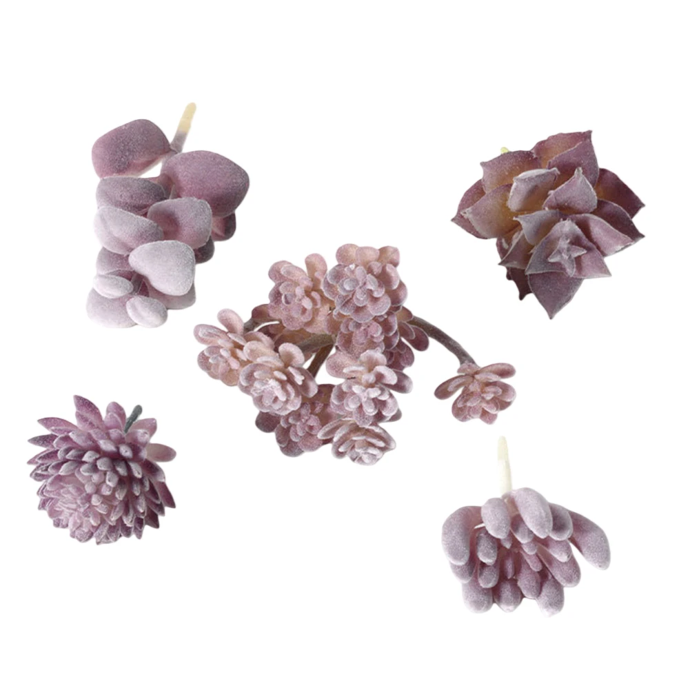 Low Upkeep For Mini Bonsai Suc - Succulent Arrangement Mini 评论和价格