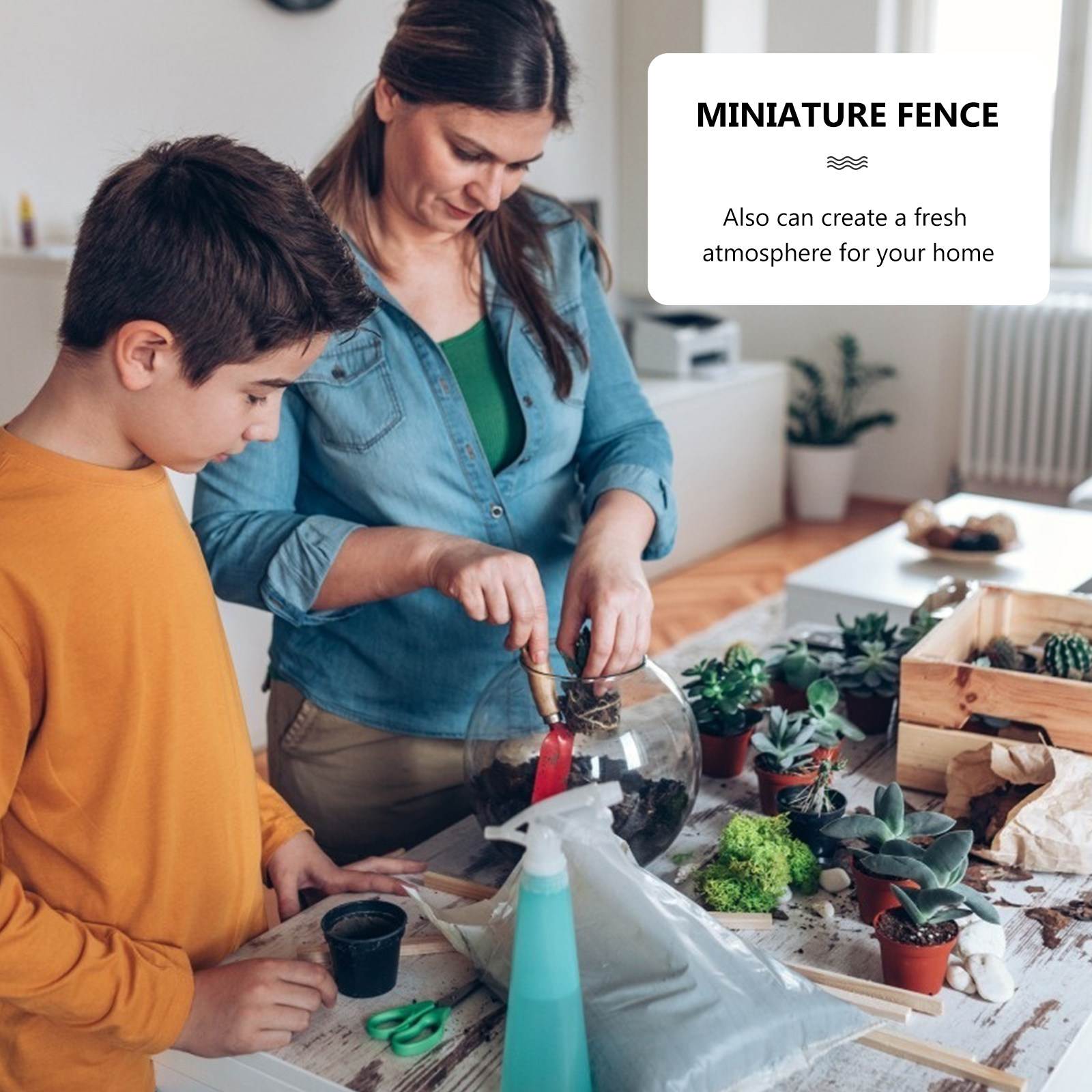 12Pcs Mini Wooden Fence Set Li - Succulent Arrangement Mini 评论和价格