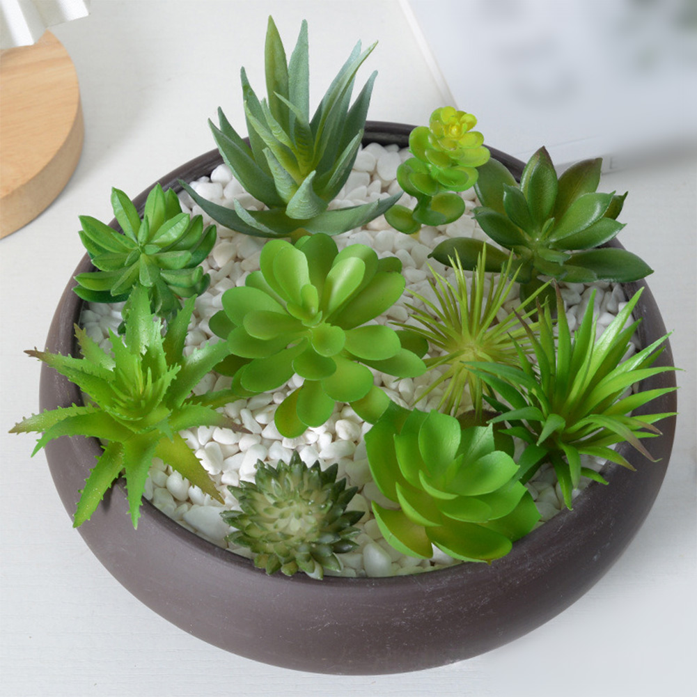 For Mini Bonsai Artificial Suc - Succulent Arrangement Mini 评论和价格