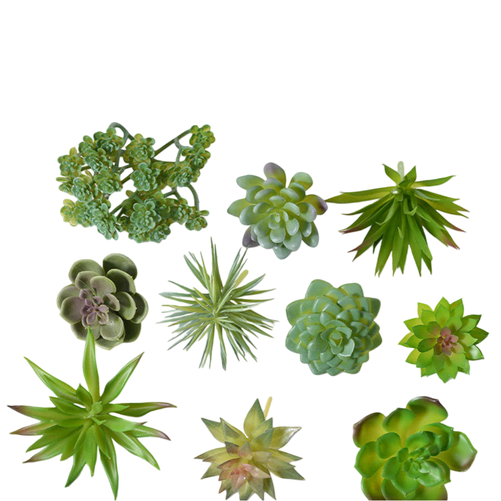 For Mini Bonsai Artificial Suc - Succulent Arrangement Mini 评论和价格