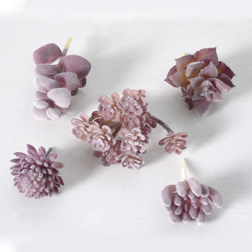 Charming For Mini Bonsai Succu - Succulent Arrangement Mini 评论和价格