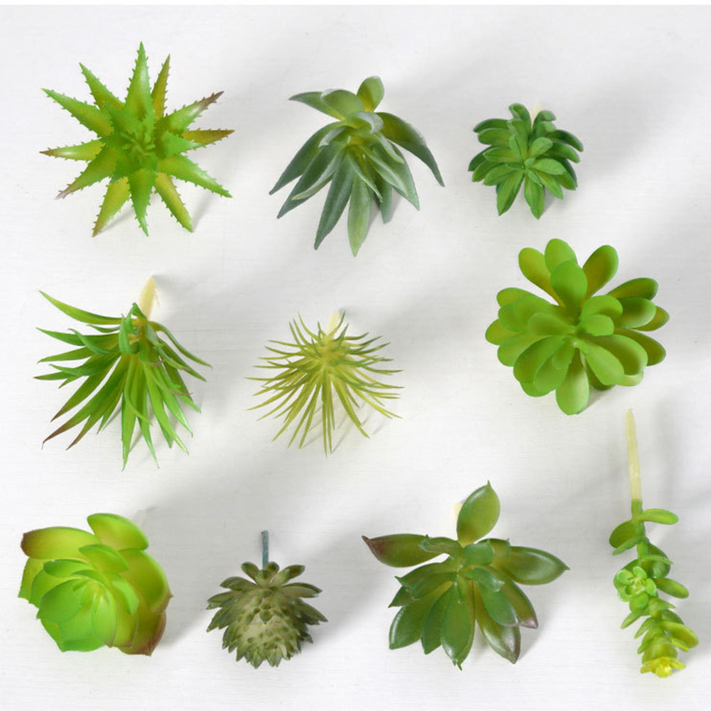 Charming For Mini Bonsai Succu - Succulent Arrangement Mini 评论和价格
