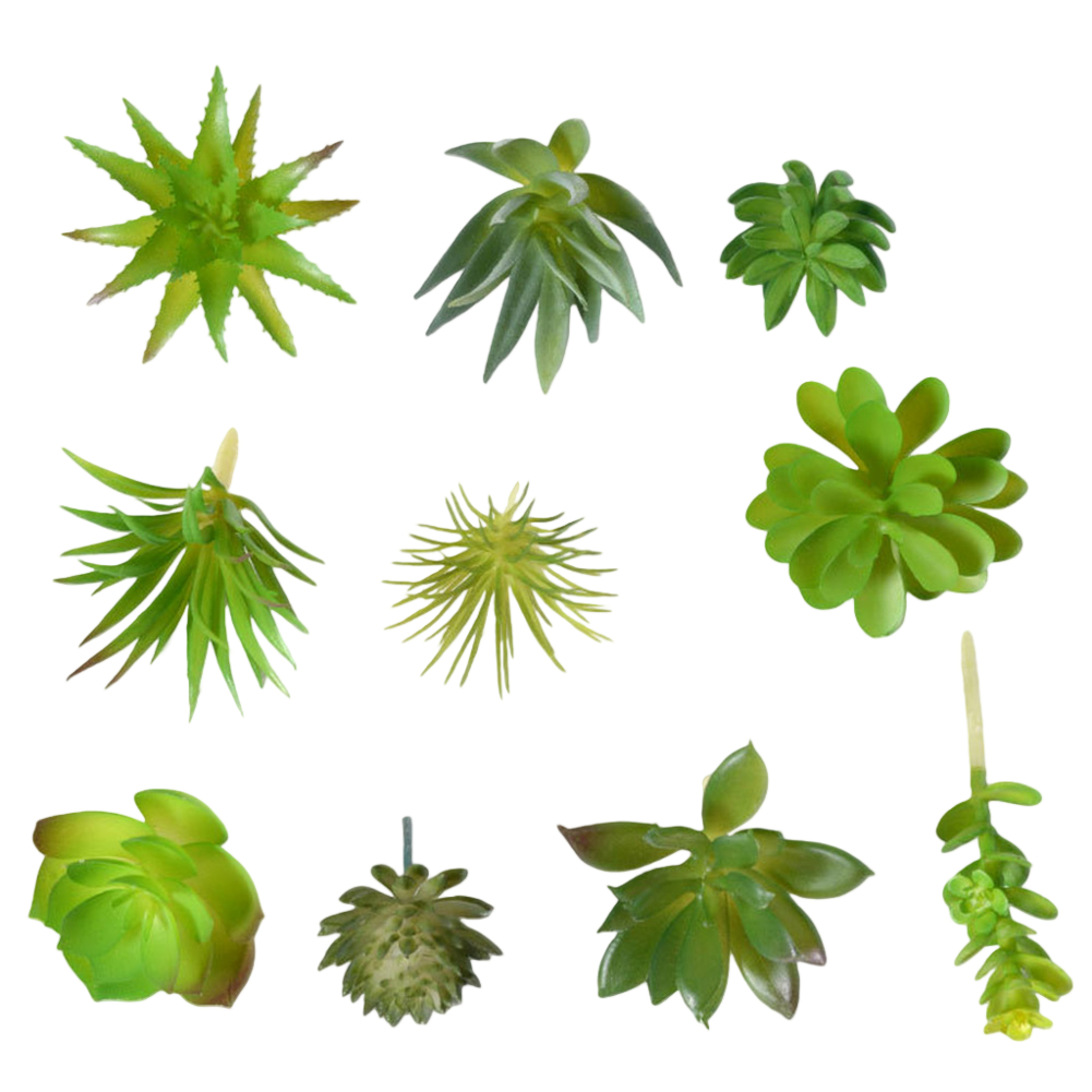 Photography Prop Friendly For  - Succulent Arrangement Mini 评论和价格