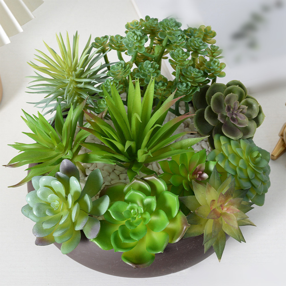 Photography Prop Friendly For  - Succulent Arrangement Mini 评论和价格