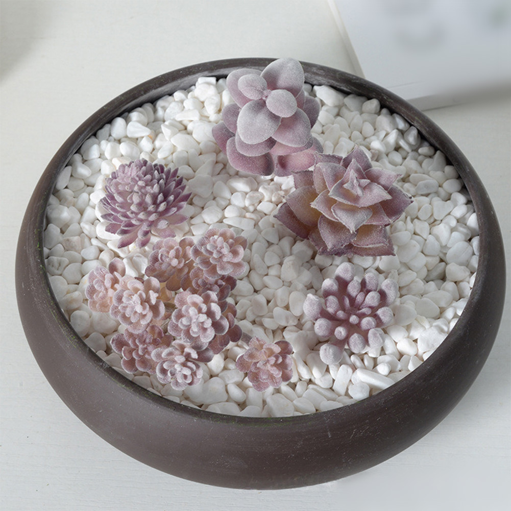 Photography Prop Friendly For  - Succulent Arrangement Mini 评论和价格