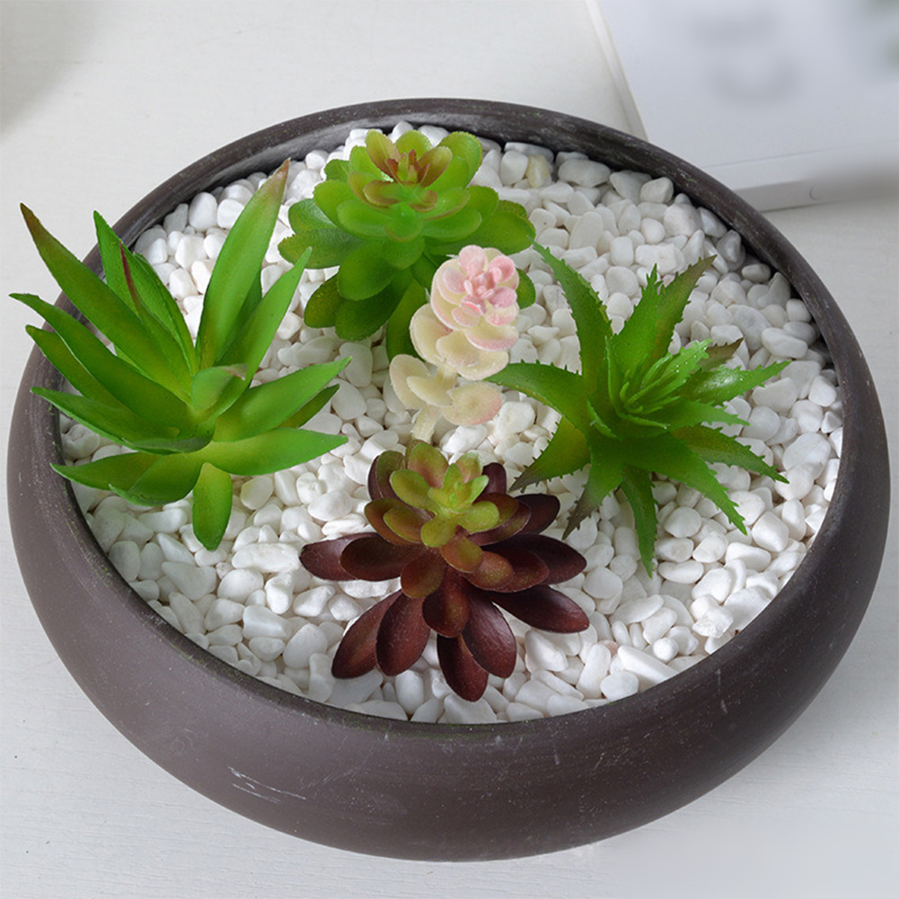 Photography Prop Friendly For  - Succulent Arrangement Mini 评论和价格
