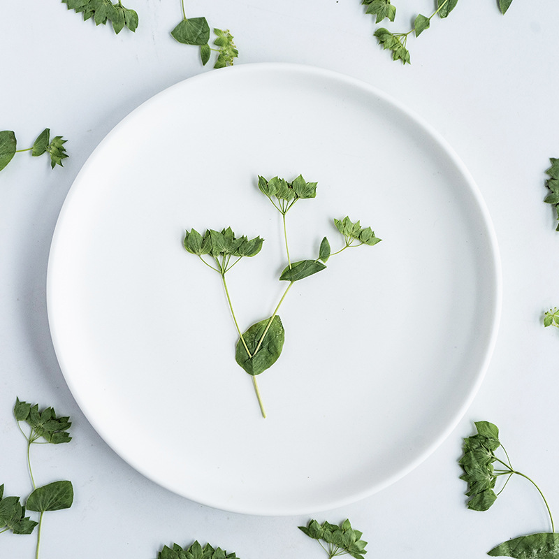 60Pcs Rabbit Ear Grass with Br - Plant Parent Sticker 评论和价格