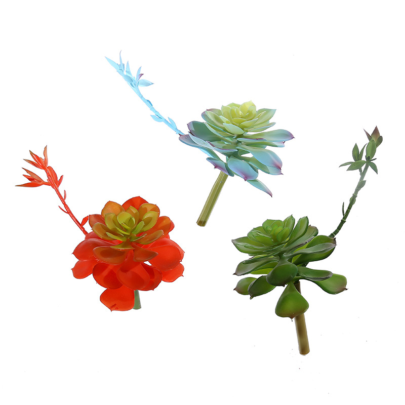 Wusmart Zhong Shi Lian Large A - Succulent Arrangement Mini 评论和价格