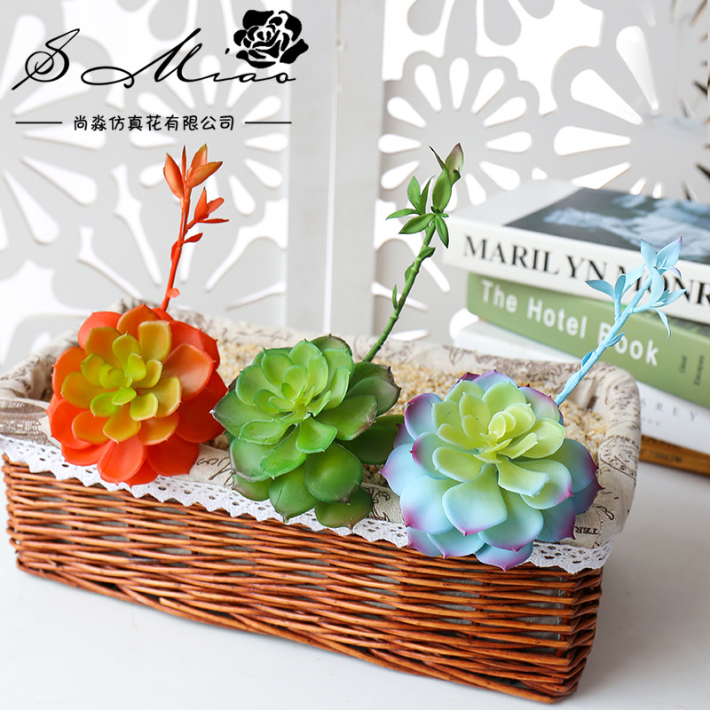Wusmart Zhong Shi Lian Large A - Succulent Arrangement Mini 评论和价格