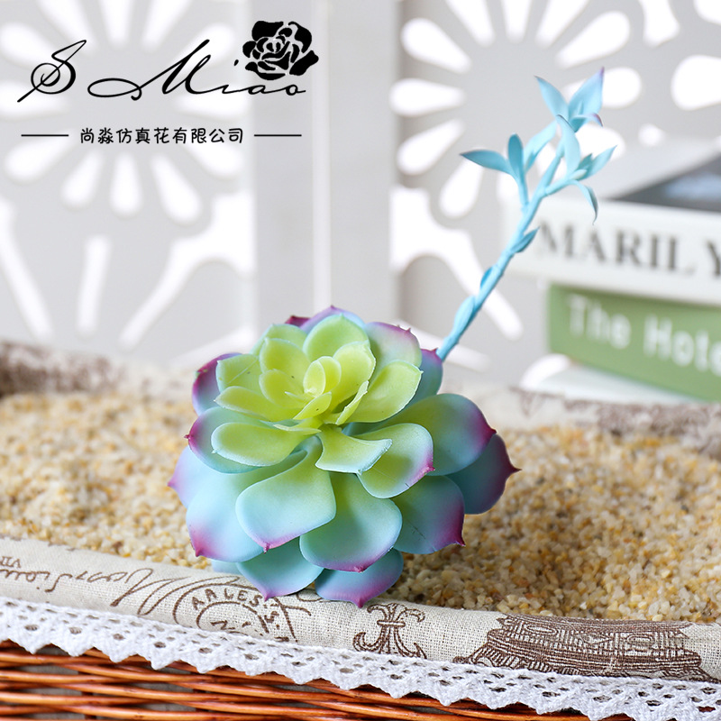 Wusmart Zhong Shi Lian Large A - Succulent Arrangement Mini 评论和价格