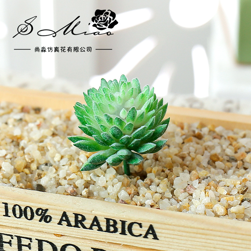 Wusmart Ji Wa Lian Artificial  - Succulent Arrangement Mini 评论和价格