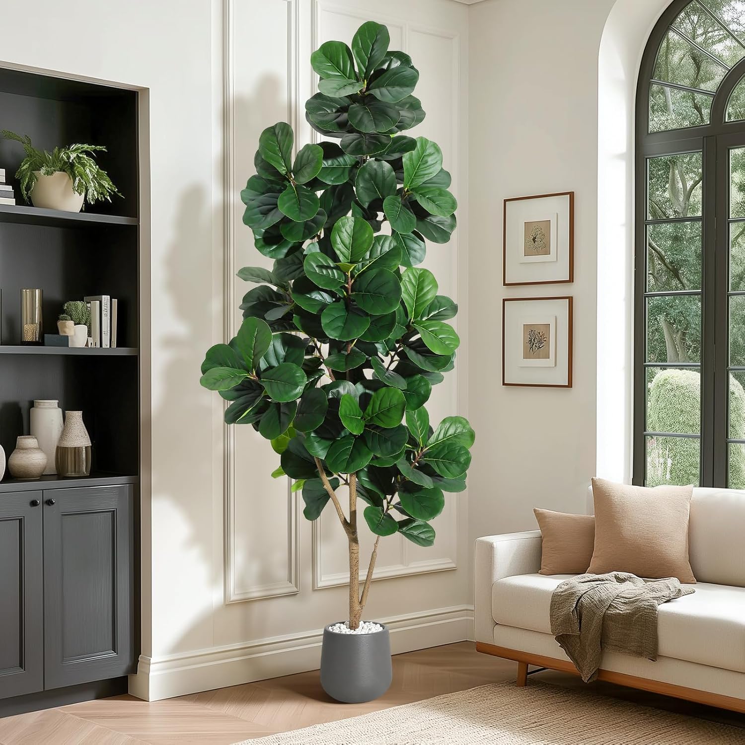4FT/5FT/6FT/7FT Fiddle Leaf Fi - Fiddle Leaf Fig 评论和价格