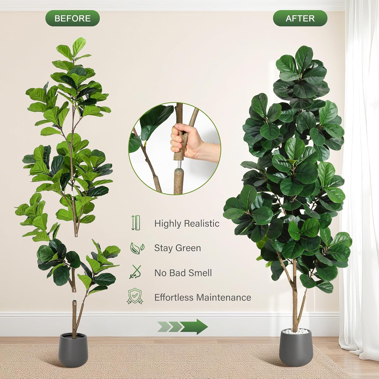 4FT/5FT/6FT/7FT Fiddle Leaf Fi - Fiddle Leaf Fig 评论和价格
