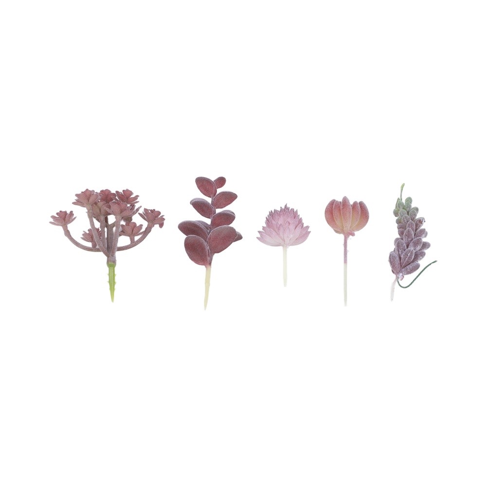 Contemporary For Mini Bonsai T - Succulent Arrangement Mini 评论和价格