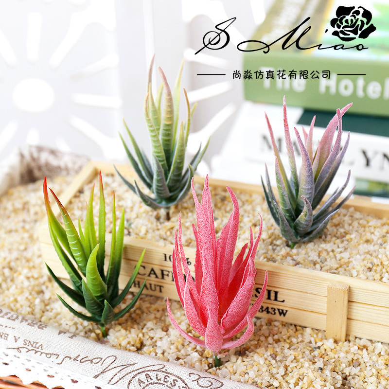 Wusmart Ban Ma Lu Hui Artifici - Succulent Arrangement Mini 评论和价格