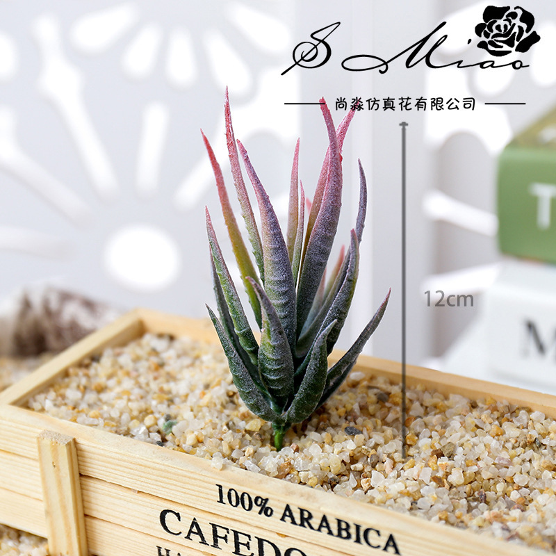 Wusmart Ban Ma Lu Hui Artifici - Succulent Arrangement Mini 评论和价格