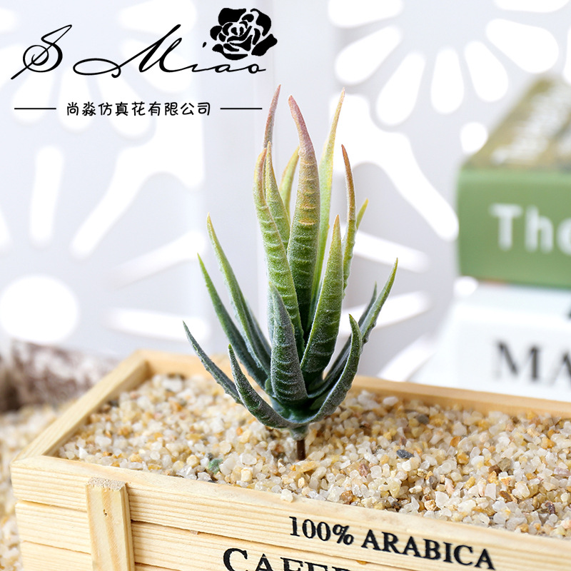 Wusmart Ban Ma Lu Hui Artifici - Succulent Arrangement Mini 评论和价格