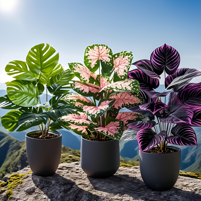 3Pcs Mixed Artificial Plant Se - Fiddle Leaf Fig 评论和价格