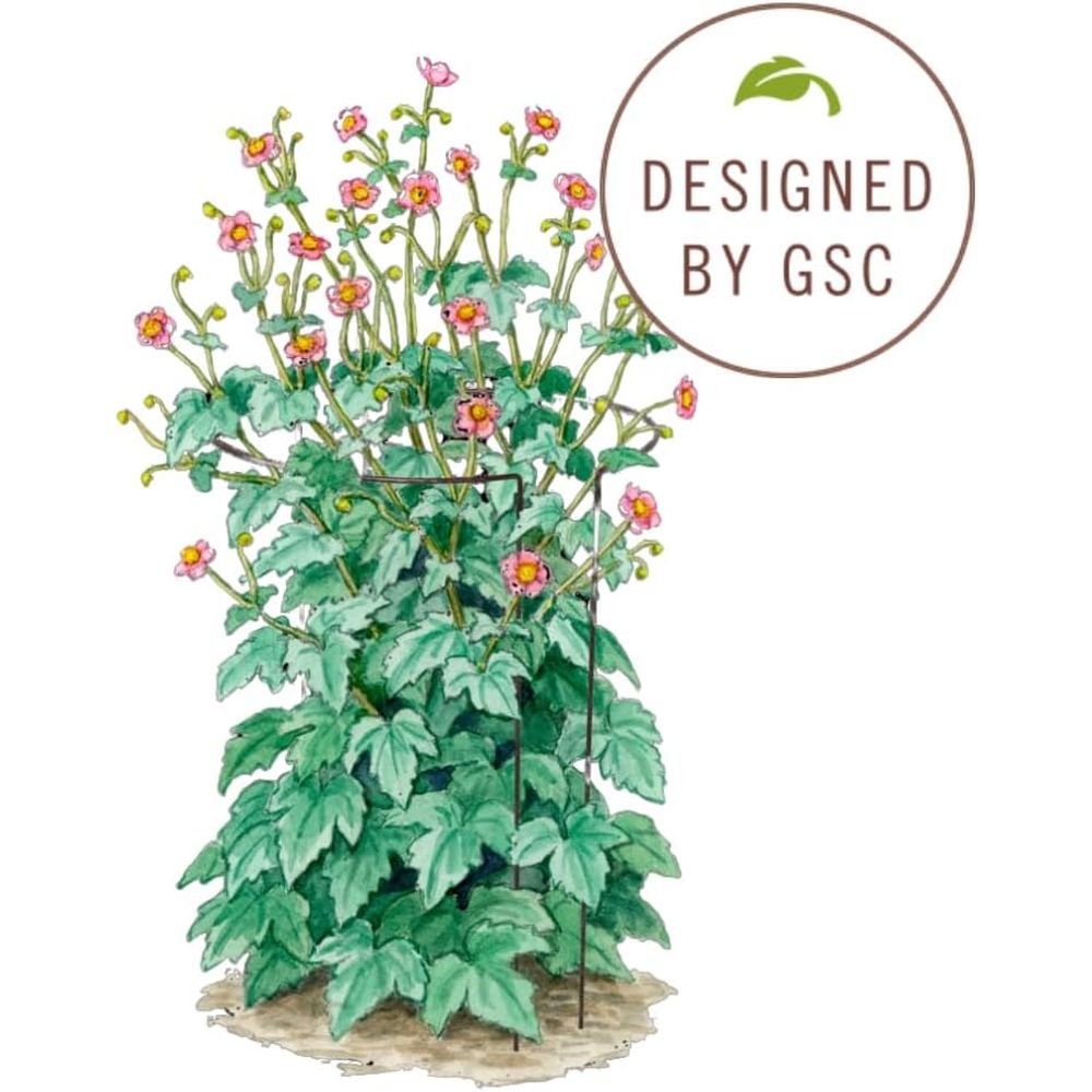 Metal Garden Plant Stakes | Du - Plants X 评论和价格