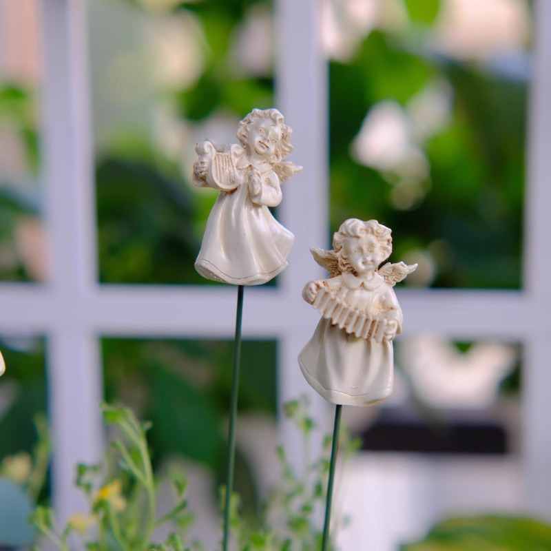 Angel Flower Arranger for Succ - Succulent Arrangement Mini 评论和价格