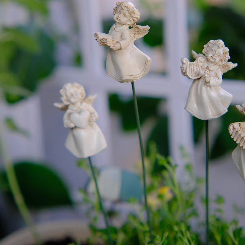 Angel Flower Arranger for Succ - Succulent Arrangement Mini 评论和价格