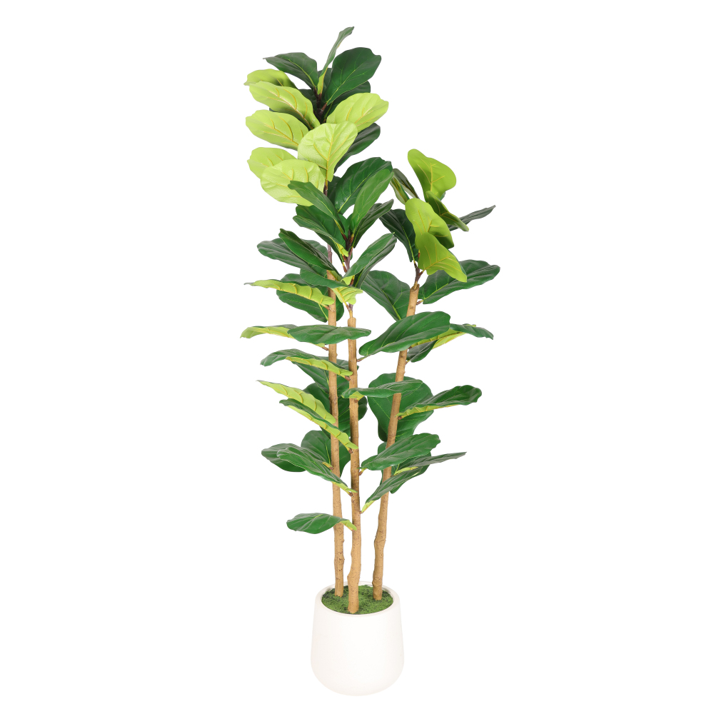 5.2FT Artificial Fiddle Leaf F - Fiddle Leaf Fig 评论和价格